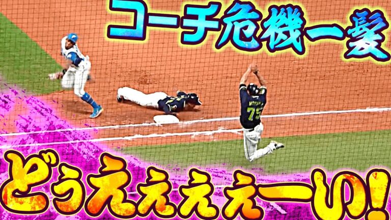 【芸術的な回避】牽制球が逸れて…コーチの危機を万波が救う