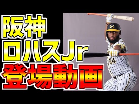 阪神タイガース🐯ロハスJr登場動画　#阪神タイガース #タイガース #Shorts #阪神 #ロハス #ロハスJr