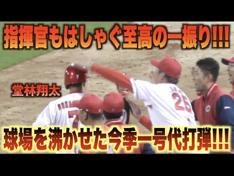 新井監督歓喜の一振り！堂林翔太が今季初打席で1号ソロホームランを放つ！#広島#カープ#読売#ジャイアンツ