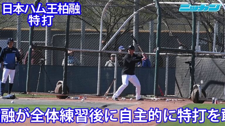 日本ハム王柏融が特打敢行「順調」紅白戦へ感覚養う【日刊スポーツ】