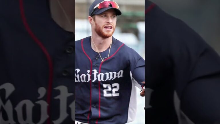 柳田悠岐・スパンジェンバーグ 適当編集です！