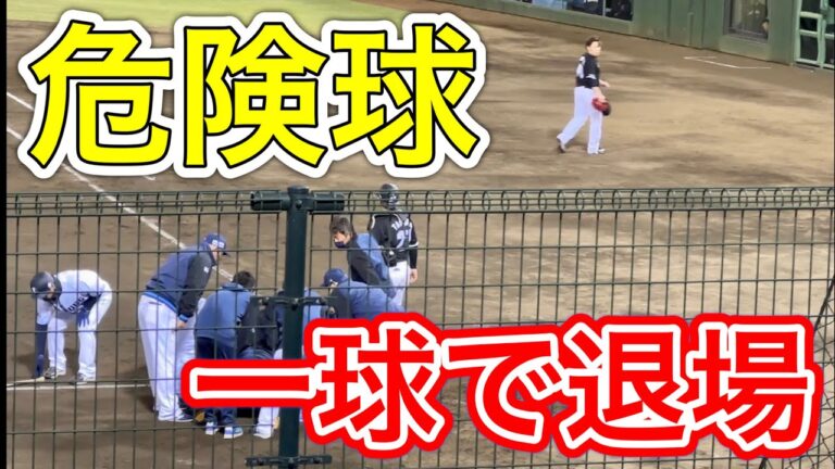 ロッテ 西村天裕 リリーフ登場初球で退場【西武vsロッテ】2023/4/13