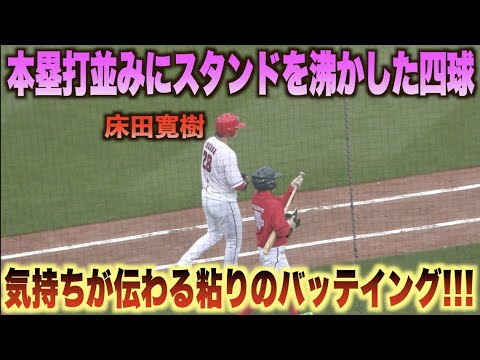 ホームラン球の大歓声！床田寛樹が野手顔負けの粘りのバッティングで魅せる！！#広島#カープ#東京#ヤクルト#スワローズ