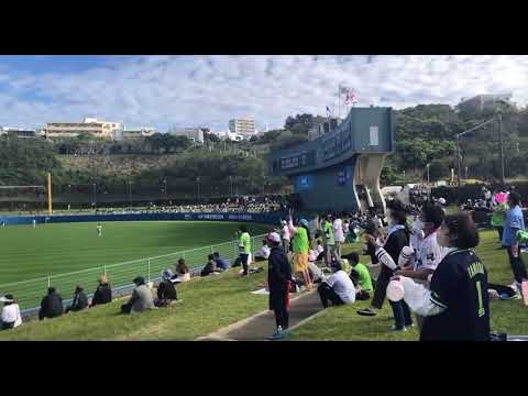 【声出し解禁】奥村展征 応援歌 2023年2月23日 オープン戦 ヤクルト vs 巨人