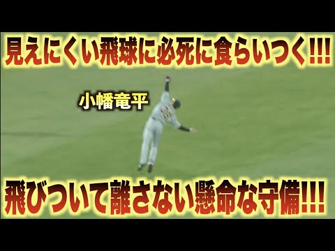 曇天に溶け込む飛球を小幡竜平が必死に飛びついてナイスキャッチ！#広島#カープ#阪神#タイガース