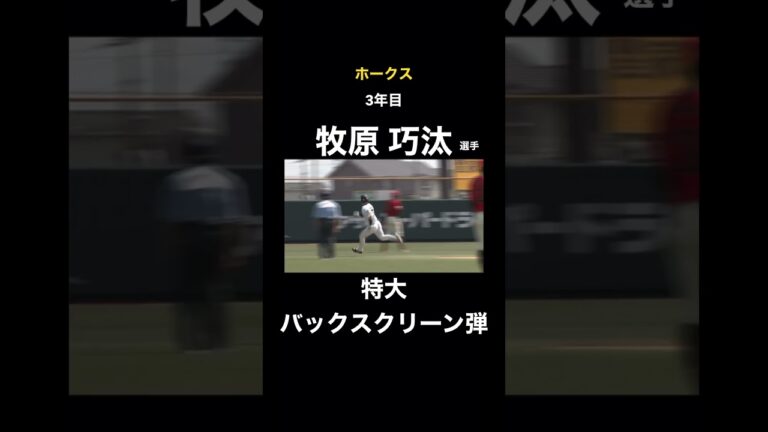 【バックスクリーン弾】打てる捕手！牧原巧汰選手 #ソフトバンクホークス #ホークス #牧原巧汰 #日大藤沢高