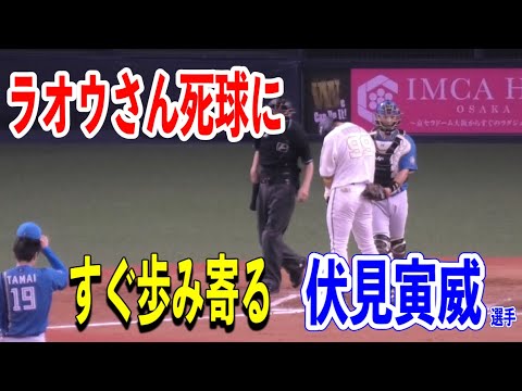 2日で3死球…ラオウさんに昨年まで同僚・伏見寅威選手がすぐ歩み寄って謝罪！