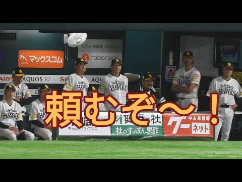東浜巨投手が抑えた時のホークスベンチ内😀👍