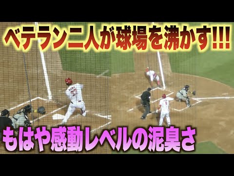 鬼気迫るプレーに感動！野間峻祥が同点タイムリーを放ち菊池涼介は2度のヘッスラで客席を沸かす！！#広島#カープ#阪神#タイガース