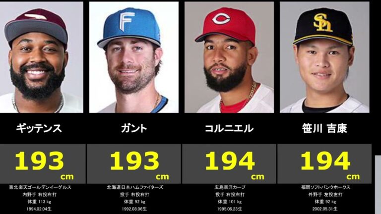 【ランキング】2023シーズン高身長30選(200cmクラスの選手たち)