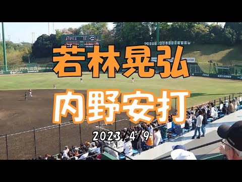 若林晃弘 内野安打