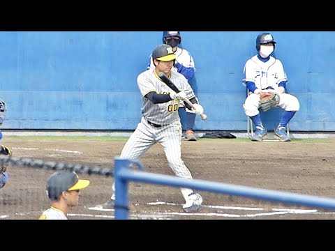 きっちり送りバントを決める山本泰寛（2023年3月4日ウエスタン・リーグ春季教育リーグ中日ドラゴンズ vs 阪神タイガース）
