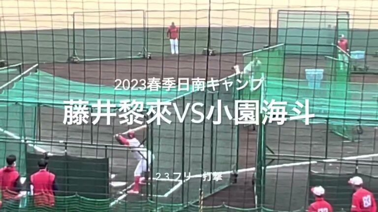 ランチ特打に投手陣が登場！これもキャンプの楽しみ！！【2023.2.3春季日南キャンプ3日目】#広島カープ# 2023春季日南キャンプ#天福球場#フリー打撃#藤井黎來#小園海斗