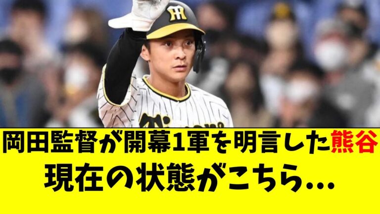 阪神 熊谷の現在の状態。岡田監督が開幕１軍を明言したが【阪神タイガース】