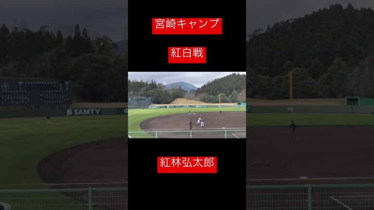【キャンプ】紅白戦　紅林弘太郎　鮮やかなタイムリー