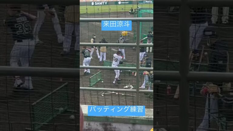 【キャンプ】オリックス　来田涼斗　バッティング練習