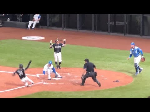 【間一髪】でんぐり返しでホームを死守した2番手池田隆英　エスコンフィールド北海道日ハム対ソフトバンク