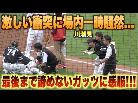 一時場内騒然…激しい衝突で川瀬晃が無念の負傷退場…しかし最後まで諦めずリクエストを要求するガッツがすごい！#広島#カープ#福岡#ソフトバンク#ホークス