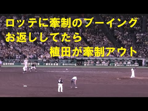ロッテに牽制ブーイングのお返ししてたら植田海がタッチアウト　＠甲子園　20230603