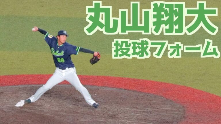 丸山翔大 ピッチングフォーム(スローあり)【ヤクルト】