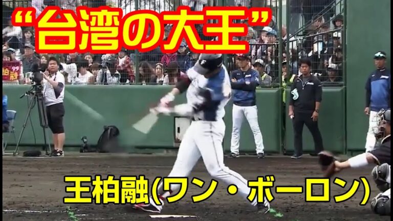“台湾の大王”　王柏融(ワン・ボーロン)　2年連続打率4割超えのバッティングを検証　タイツ先生