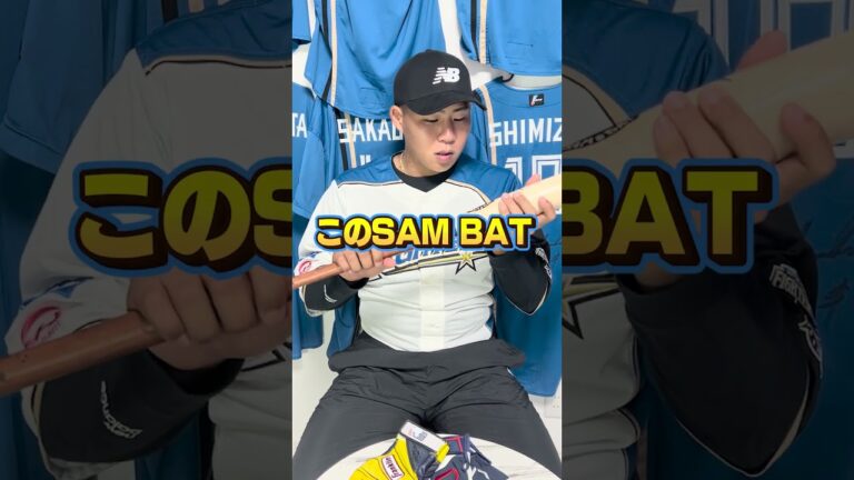 元プロ野球選手に聞く"オススメのバット"が独特すぎた！！