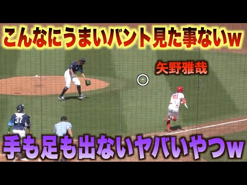 もはや神業！うますぎるセーフティバントで出塁する矢野雅哉がマジでヤバいw#広島#カープ#埼玉#西武#ライオンズ