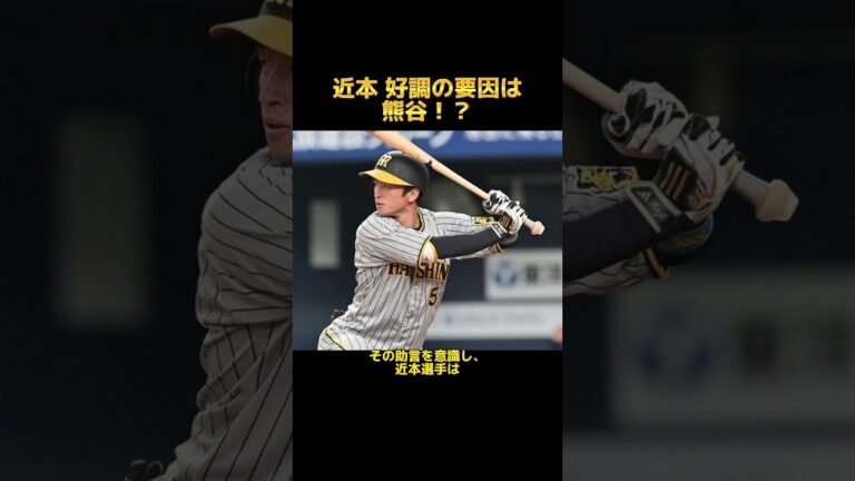 近本 好調の要因は熊谷！？ #阪神タイガース  #近本光司