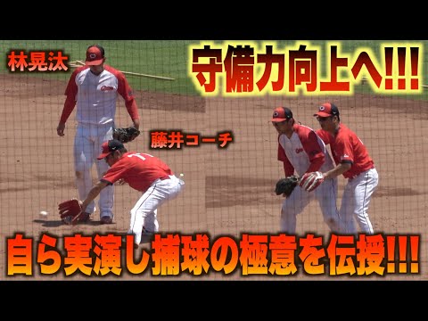 課題の守備力向上へ！自らノックを受け林晃汰へ熱く指導する藤井彰人コーチ！#広島#カープ