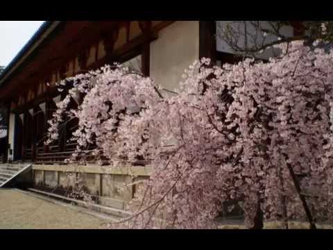 六段尺八本手・替手吹合せ（山口 翔）