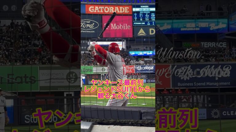 大谷くんNYヤンキースVIP最前列から！フル版は動画に！MLB球場1位のクオリティSuite