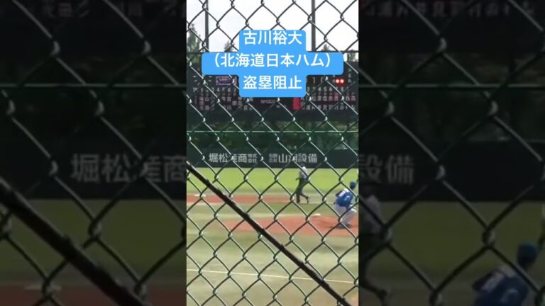 古川裕大（北海道日本ハムファイターズ）盗塁阻止#shorts