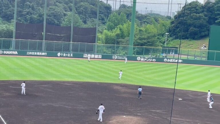 巨人、太田龍のピッチング
