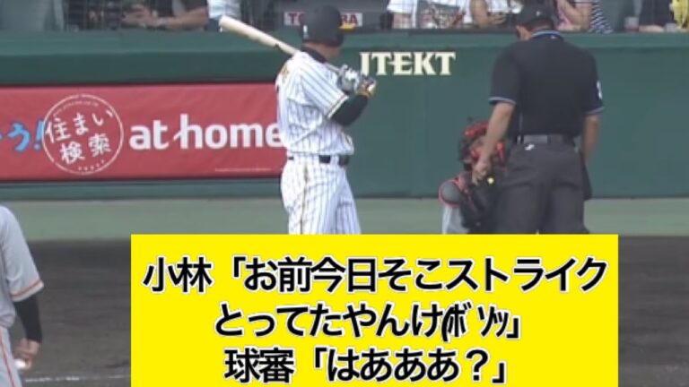 小林誠司「お前今日そこストライクとってたやんけ(ﾎﾞｿｯ」 球審「はあああ？」【なんj反応】