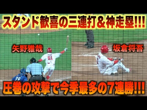 ラストにトドメの３連打！矢野雅哉のタイムリーに坂倉将吾が気迫の神走塁で勝負を決める！#広島#カープ#中日#ドラゴンズ#ハイライト#ダイジェスト