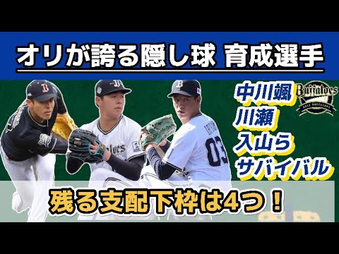 残る支配下枠は4つ！！！オリックス『支配下契約が近い育成選手』のまとめ！！！セデーニョに続くのは誰？
