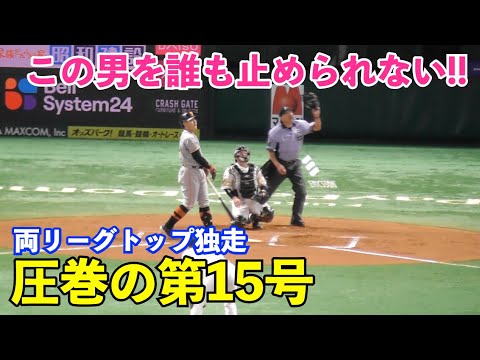 今度は主砲の一撃！巨人岡本和真選手、確信歩きの今季第15号2ラン本塁打！巨人vsソフトバンク