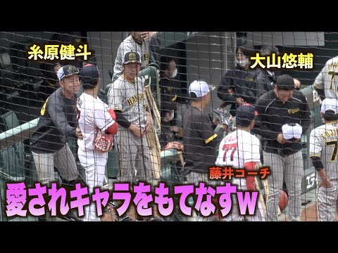思わずテンションが上がるwベンチへやってきた藤井彰人コーチの元を続々訪れる阪神タイガースの面々！#広島#カープ#阪神#タイガース