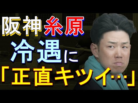 阪神 糸原が岡田政権での冷遇に「正直キツイ」2023年2月21日