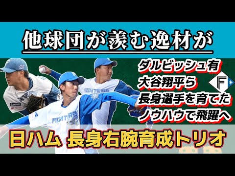 【なぜ育成に！？】日本ハムが抱える育成ピッチャーに逸材が！！！ダルビッシュ有・大谷翔平など高身長の選手を育てた実績のある日本ハムで飛躍なるか！！！