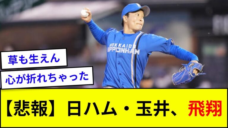 【悲報】日ハム・玉井、飛翔【5ch反応】