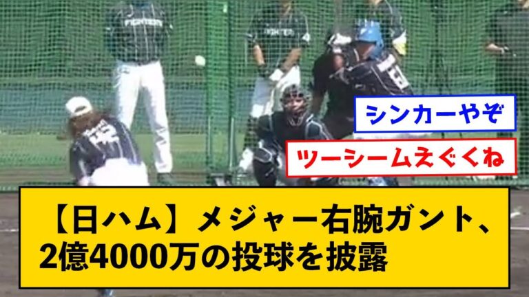 【日ハム】メジャー2億4000万の右腕ガントの投球に賛否が分かれる←活躍すると思う？【なんＪコメント付き】