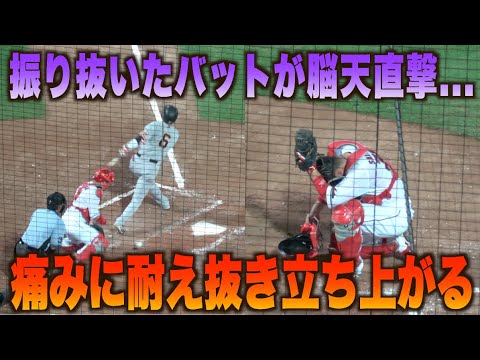 痛みに悶絶する坂倉将吾…坂本勇人の振り抜いたバットが脳天を打つ…#広島#カープ#読売#ジャイアンツ#ハイライト#ダイジェスト