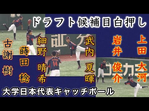 『ドラフト候補目白押し キャッチボール 遠投』大学日本代表 蒔田稔•古謝樹•武内夏暉•細野晴希•上田大河•岩井俊介 in東京ドーム 2023年8月28日