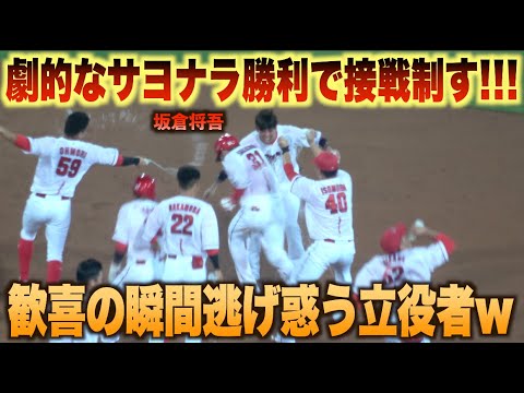 劇的神展開！坂倉将吾が自身2度目のサヨナラ打点を挙げる歓喜の瞬間ハイライト！#広島#カープ#東京#ヤクルト#スワローズ#ハイライト#ダイジェスト