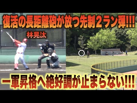 2年ぶりの一軍昇格へ猛アピール！林晃汰が４番の風格漂う豪快先制アーチ！#広島#カープ#阪神#タイガース