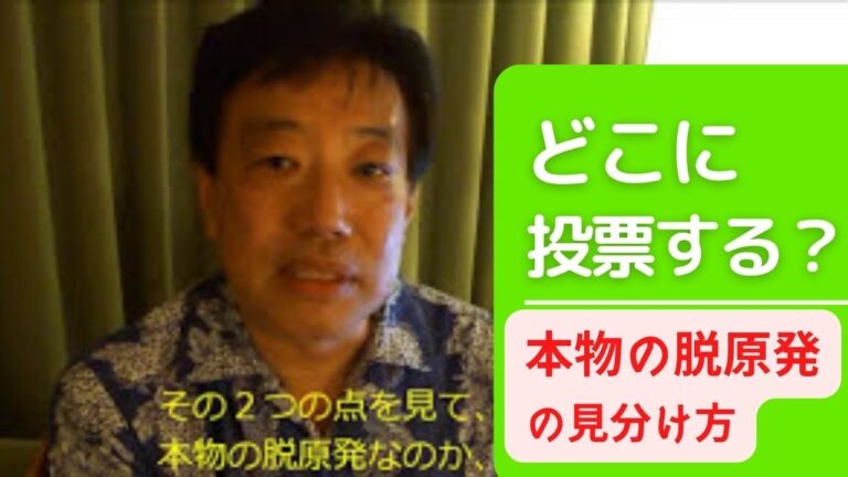 田中優 「どこに投票する？本物の脱原発の見分け方」