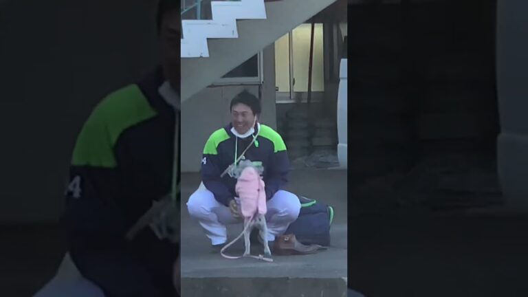 これを見たらヤクルトスワローズが好きになる