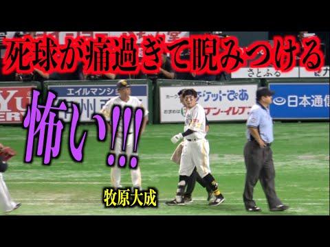 怖い！死球が痛過ぎて田嶋大樹を睨みつける牧原大成【福岡ソフトバンクホークス】