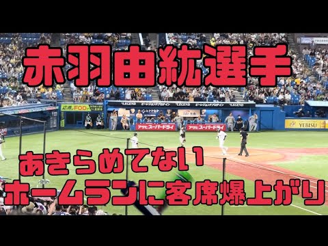 ヤクルトスワローズ9回！赤羽由紘選手のホームランに客席爆上がり（2023年9月3日阪神③）